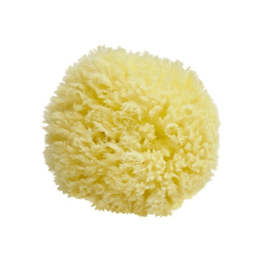 Hypoallergenic marine sponge 10cm - Greek Flavours