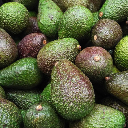 Organic Cretan avocados - 500g - Greek Flavours